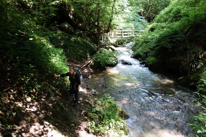 Traumschleife Ehrbachklamm mit Rauschenburg Ruine