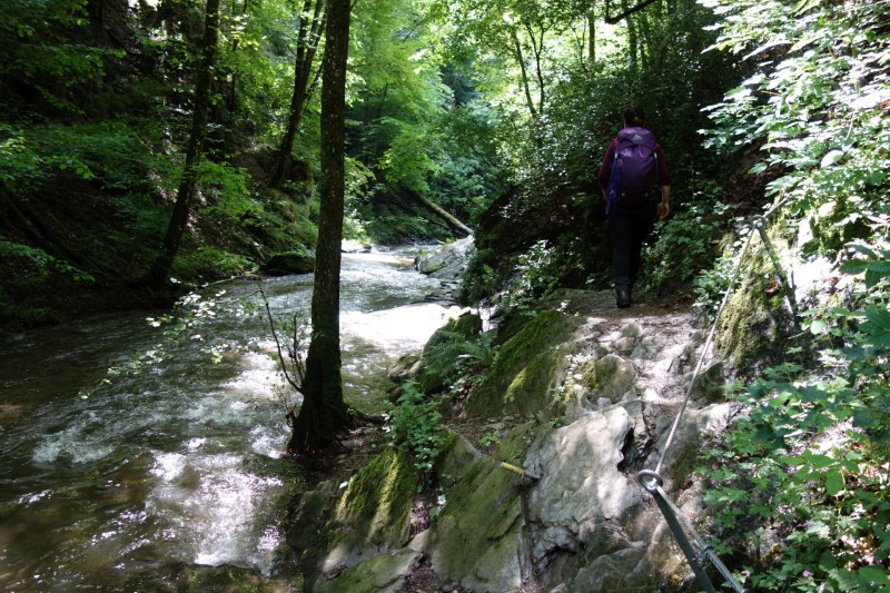 Traumschleife Ehrbachklamm mit Rauschenburg Ruine