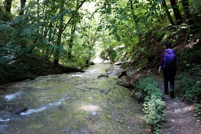Traumschleife Ehrbachklamm mit Rauschenburg Ruine