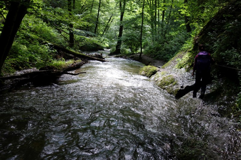 Traumschleife Ehrbachklamm mit Rauschenburg Ruine