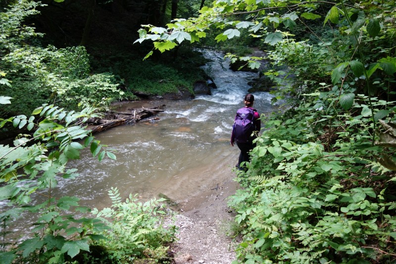 Traumschleife Ehrbachklamm mit Rauschenburg Ruine