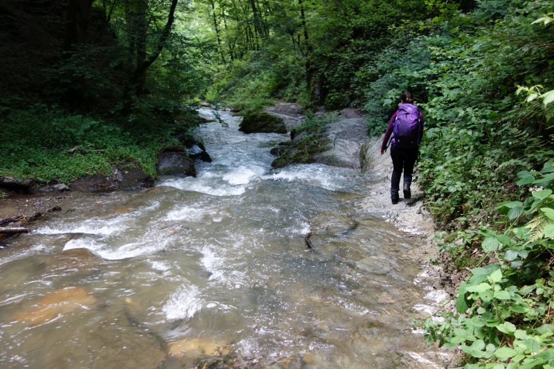 Traumschleife Ehrbachklamm mit Rauschenburg Ruine