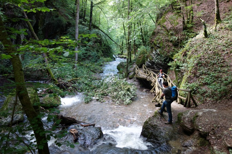 Traumschleife Ehrbachklamm mit Rauschenburg Ruine