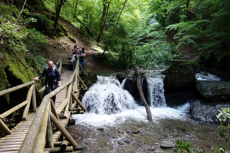 Traumschleife Ehrbachklamm mit Rauschenburg Ruine