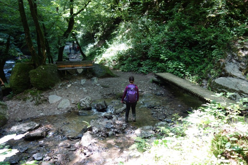 Traumschleife Ehrbachklamm mit Rauschenburg Ruine