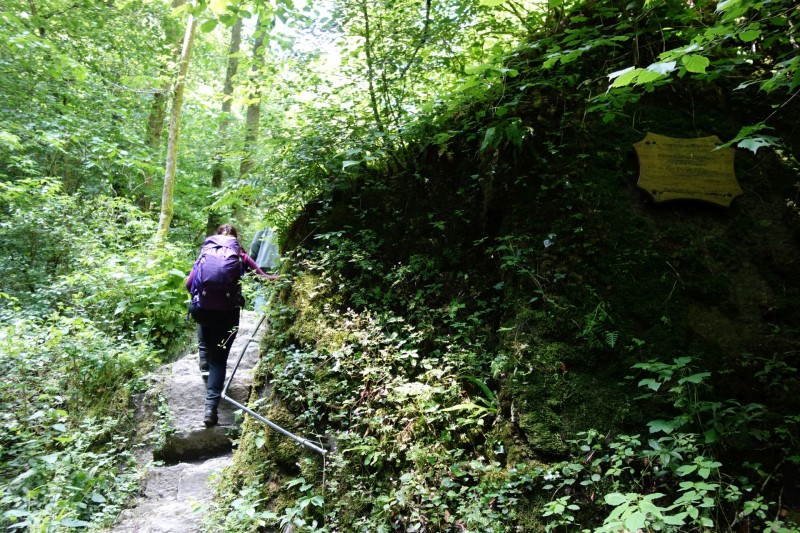 Traumschleife Ehrbachklamm mit Rauschenburg Ruine