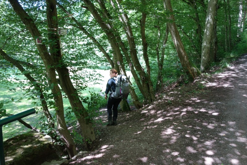 Traumschleife Ehrbachklamm mit Rauschenburg Ruine
