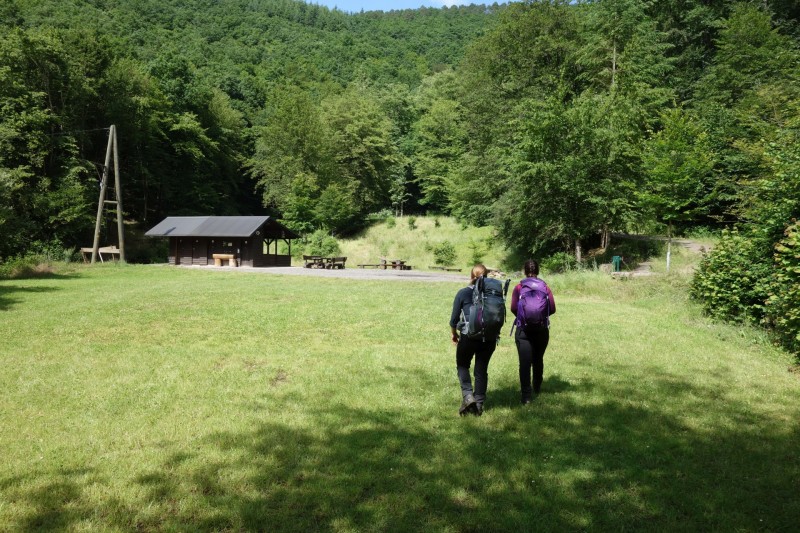 Traumschleife Ehrbachklamm mit Rauschenburg Ruine