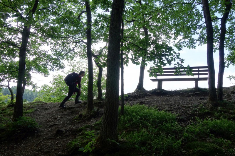 Traumschleife Ehrbachklamm mit Rauschenburg Ruine