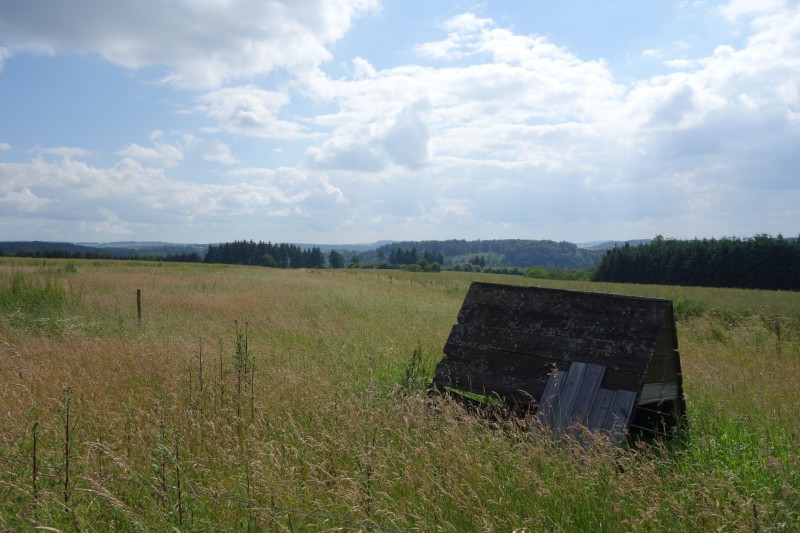 Traumschleife Ehrbachklamm mit Rauschenburg Ruine