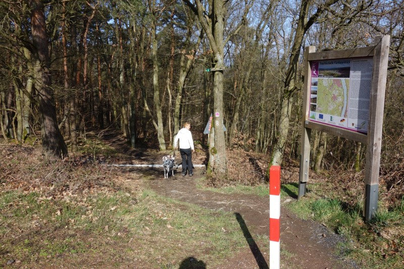 Traumschleifen F�nfseenblick und Rheingold