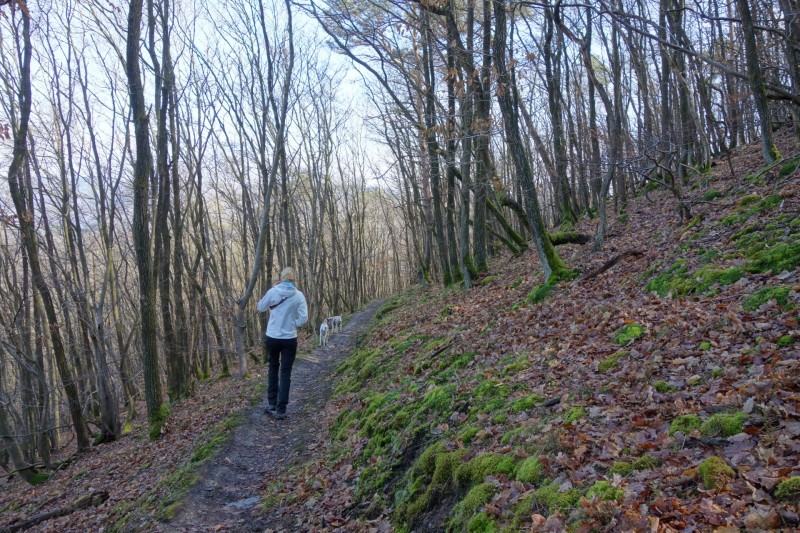 Traumschleifen F�nfseenblick und Rheingold