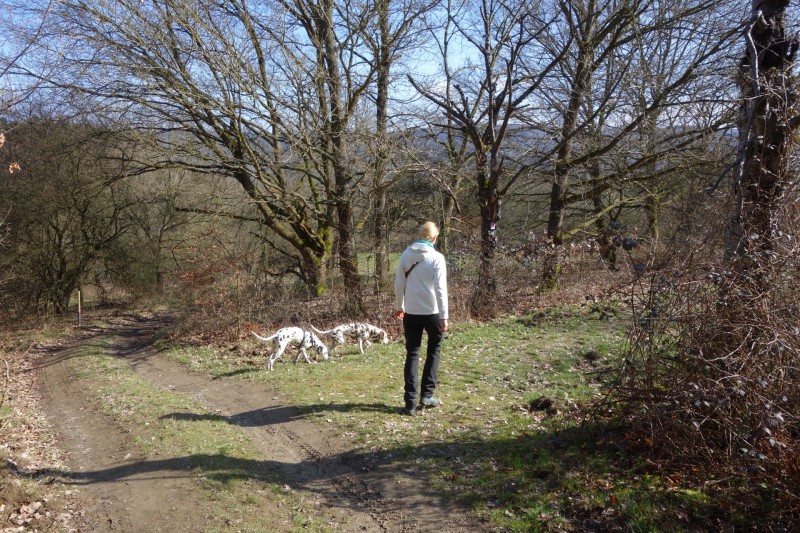 Traumschleifen F�nfseenblick und Rheingold