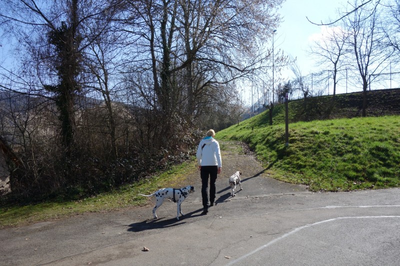 Traumschleifen F�nfseenblick und Rheingold