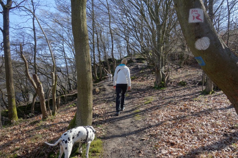 Traumschleifen F�nfseenblick und Rheingold