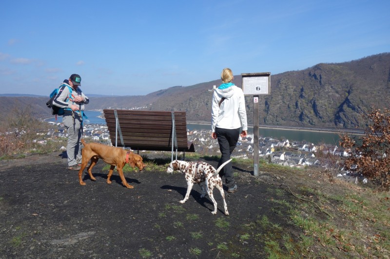 Traumschleifen F�nfseenblick und Rheingold