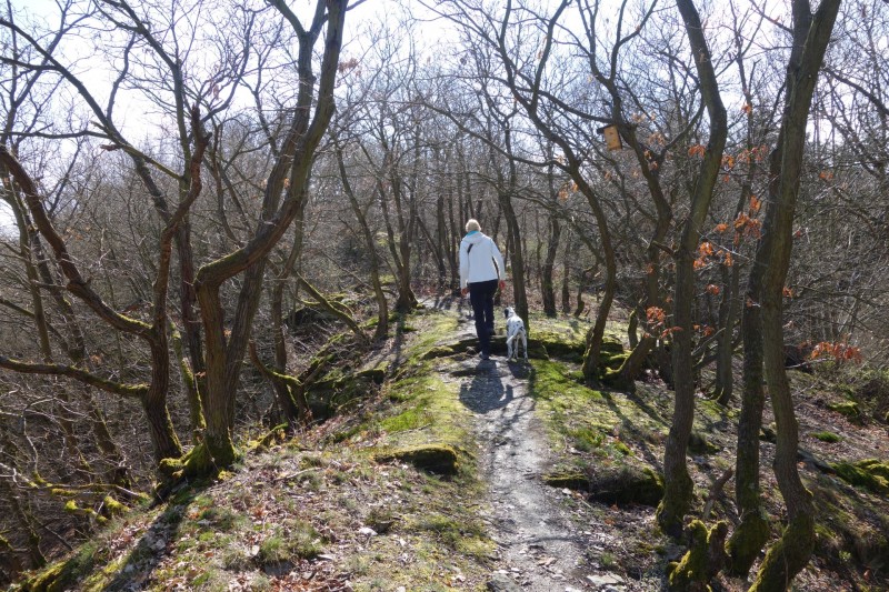 Traumschleifen F�nfseenblick und Rheingold