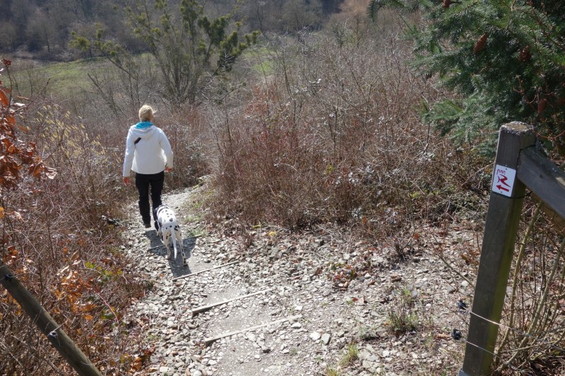 Traumschleifen F�nfseenblick und Rheingold