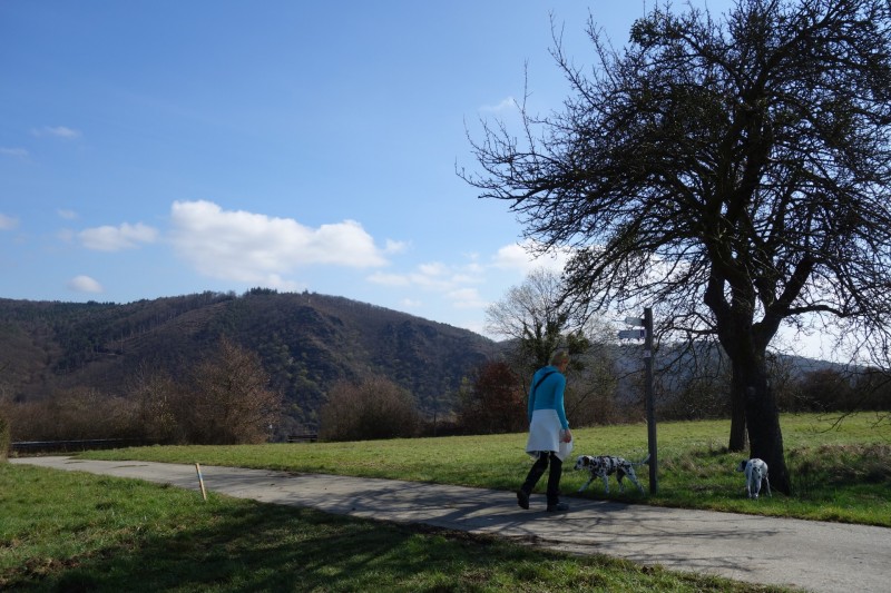 Traumschleifen F�nfseenblick und Rheingold