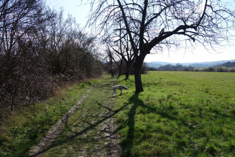 Traumschleifen F�nfseenblick und Rheingold