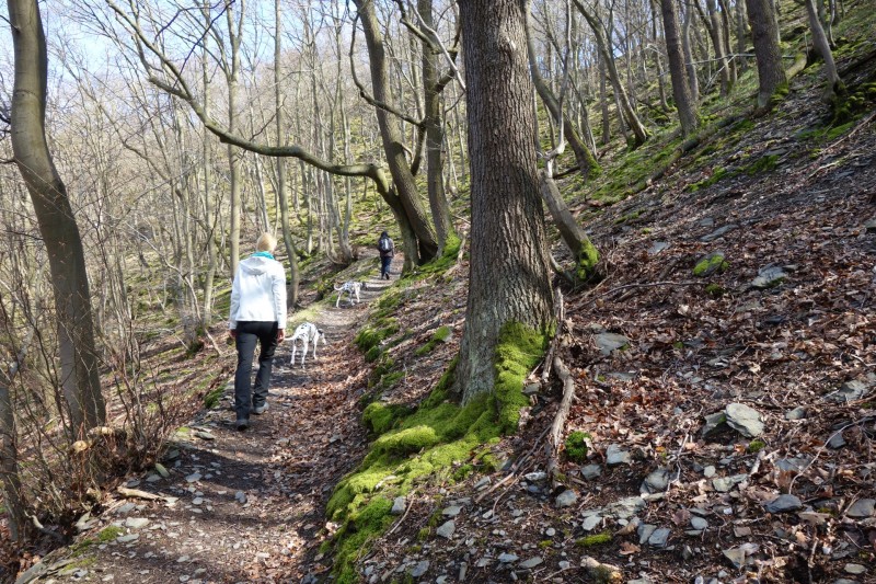 Traumschleifen F�nfseenblick und Rheingold