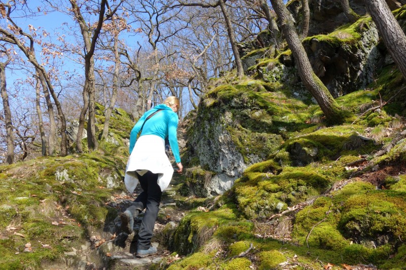 Traumschleifen F�nfseenblick und Rheingold