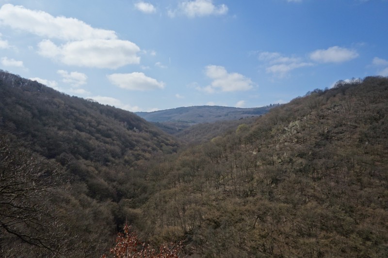 Traumschleifen F�nfseenblick und Rheingold