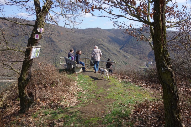 Traumschleifen F�nfseenblick und Rheingold