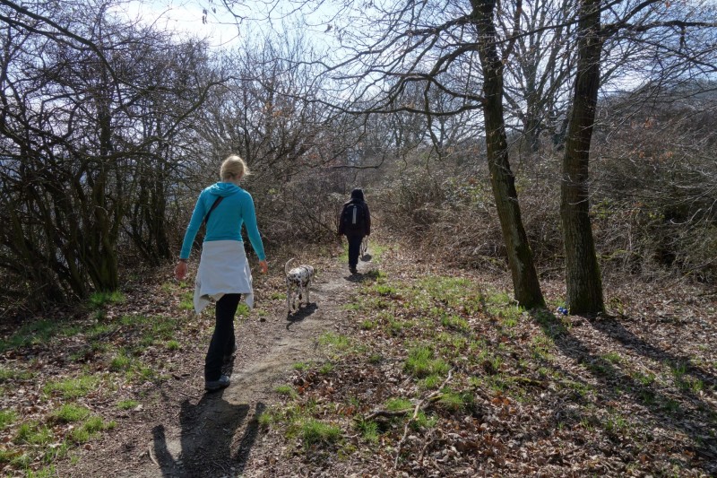 Traumschleifen F�nfseenblick und Rheingold