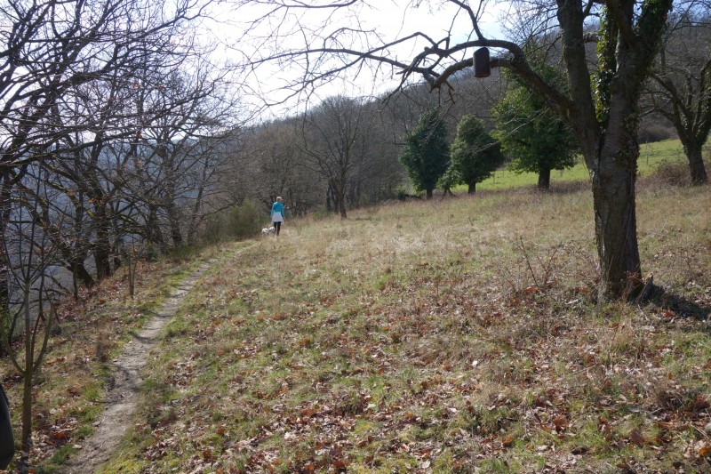 Traumschleifen F�nfseenblick und Rheingold