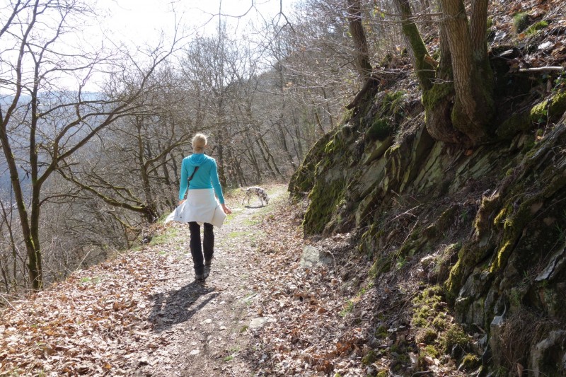 Traumschleifen F�nfseenblick und Rheingold