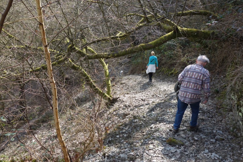 Traumschleifen F�nfseenblick und Rheingold