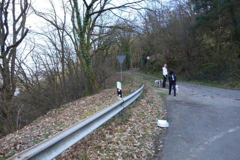 Traumschleifen F�nfseenblick und Rheingold