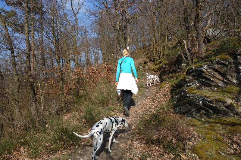 Traumschleifen F�nfseenblick und Rheingold