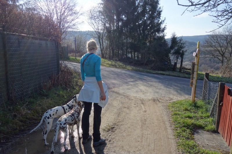 Traumschleifen F�nfseenblick und Rheingold