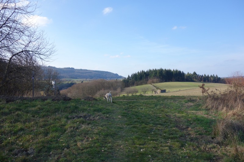 Traumschleifen F�nfseenblick und Rheingold