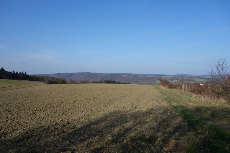 Traumschleifen F�nfseenblick und Rheingold