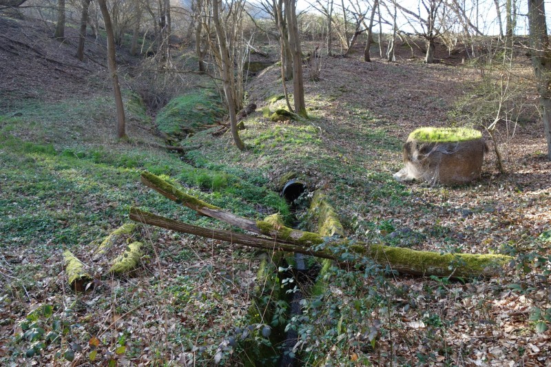 Traumschleifen F�nfseenblick und Rheingold