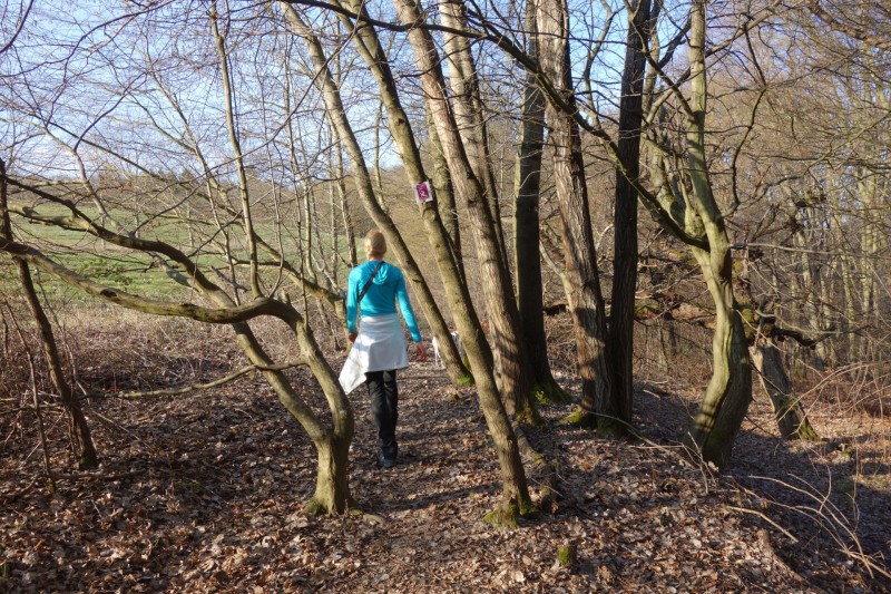 Traumschleifen F�nfseenblick und Rheingold