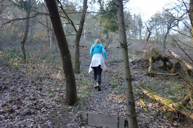 Traumschleifen F�nfseenblick und Rheingold