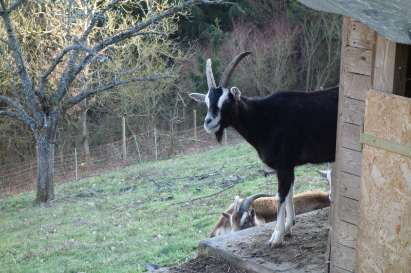 Traumschleifen F�nfseenblick und Rheingold