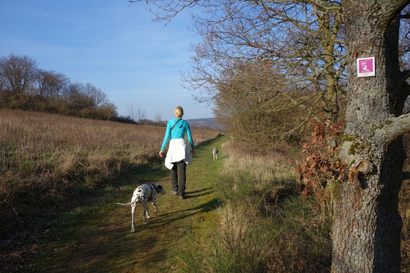 Traumschleifen F�nfseenblick und Rheingold