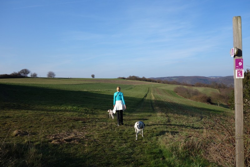 Traumschleifen F�nfseenblick und Rheingold
