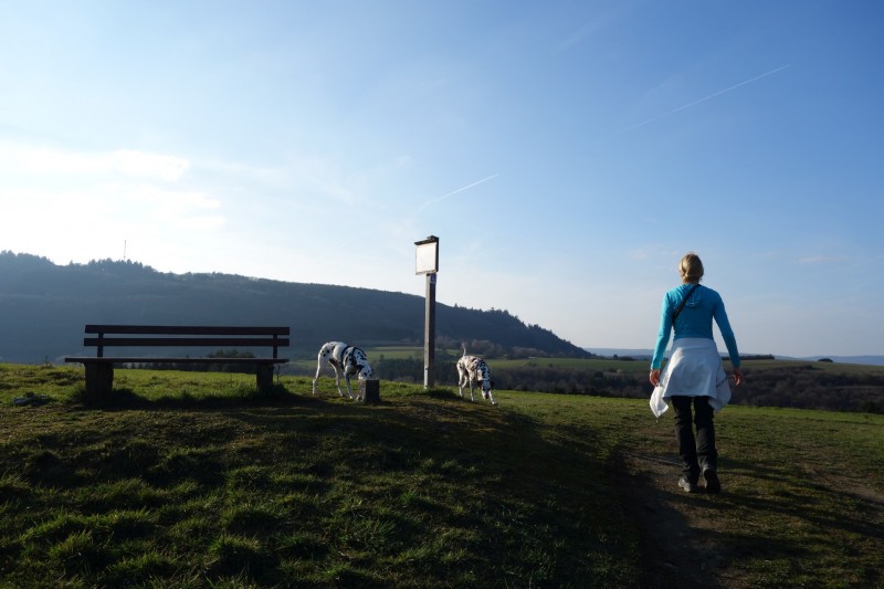 Traumschleifen F�nfseenblick und Rheingold