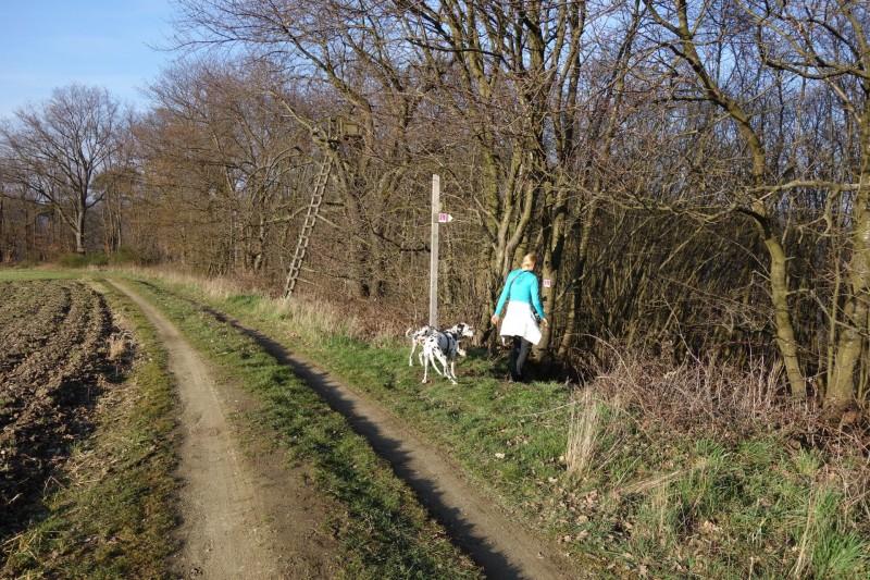 Traumschleifen F�nfseenblick und Rheingold