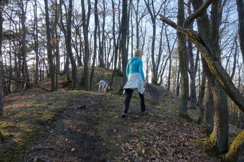 Traumschleifen F�nfseenblick und Rheingold