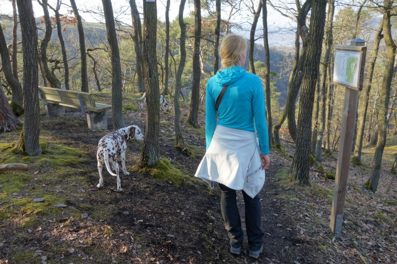 Traumschleifen F�nfseenblick und Rheingold