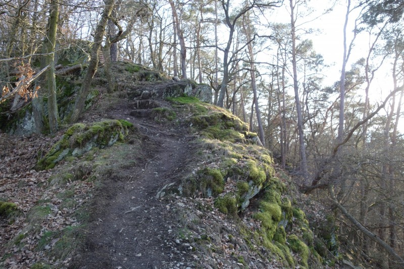 Traumschleifen F�nfseenblick und Rheingold