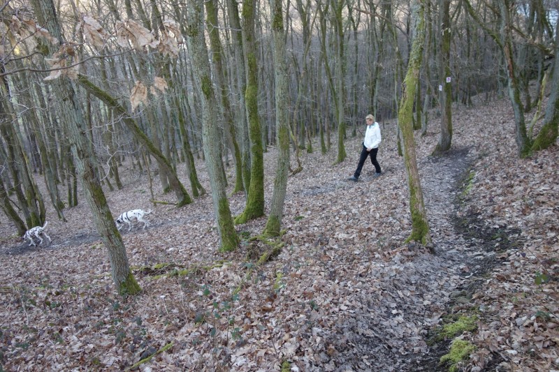 Traumschleifen F�nfseenblick und Rheingold