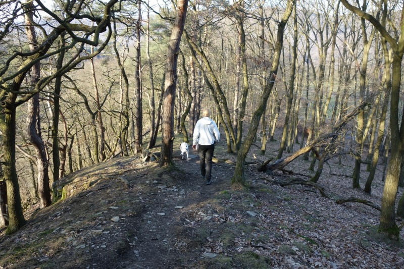 Traumschleifen F�nfseenblick und Rheingold